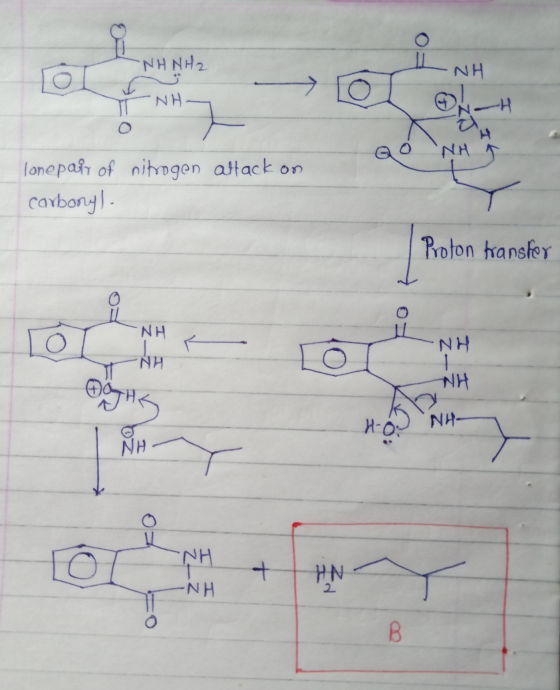 -NH NH2 -NH -NH FO QO NA T attack on lonepair of nitrogen carbonyl Proton transfer NH NH ANH Ho NH-