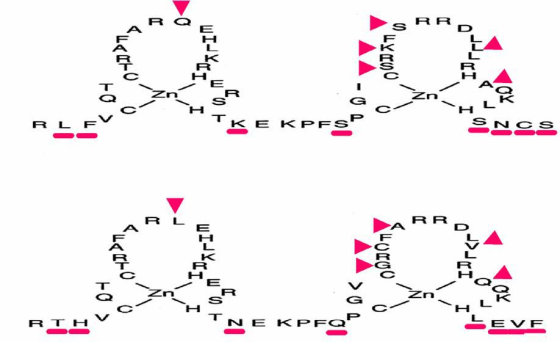 a LYO Ini Idrero TO IZ FO> WO R L E TKE KPFSP S ONDOTI I FO > RTH NE KPF