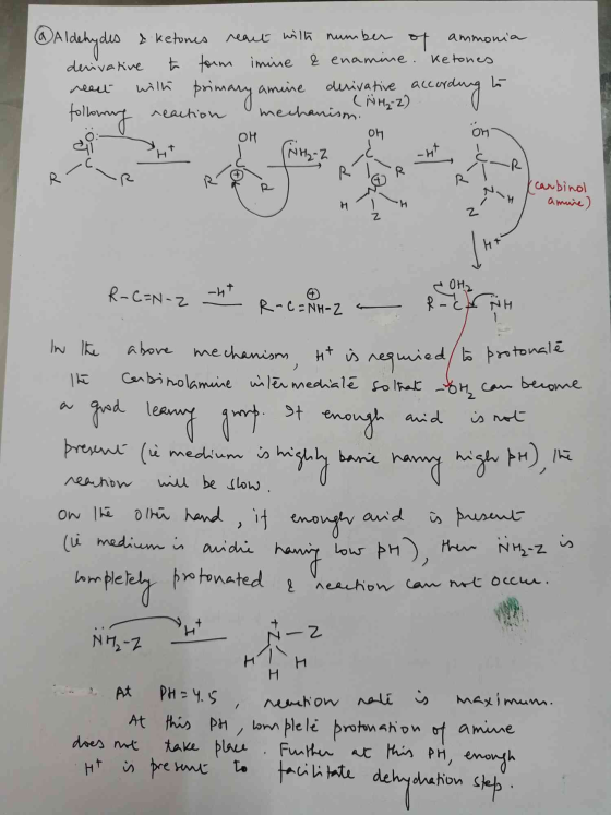 a @Aldehydes I ketones react wilt number 아 ammonia derivative to form imine & enamine. Ketones real wilk amine derivative ale