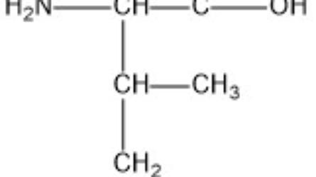 Isoleucine.jpeg