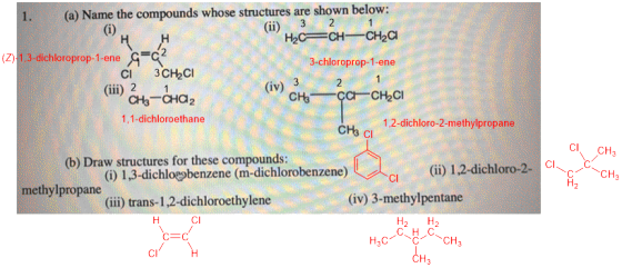1. (a) Name the compounds whose structures are shown below: (ii) 3 2 1 * Học – (2)-1,3-dichloroprop-1-ene - CA3CH CI (iii) 2