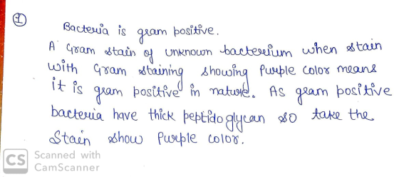 Bacteria is gram positive. sam stain of unknown bacterium when stain with Gram staining showing Purple color means it is gram