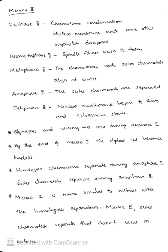 Meiosss I Peophase I - Cheomosome condensation some othee Nucleal membrane and organellas disappeal Prome taphase II - Spindl
