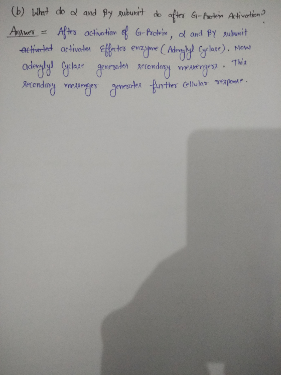 (b) What do ol and By subunit do aftes G-Poertein Activation AnwesAteo acthation e G-Prole in, ol and PY Rubunit Acthrted act