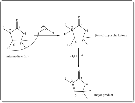 4
β_hydroxycyclic ketone
HO
intermediate (m)
4
major product