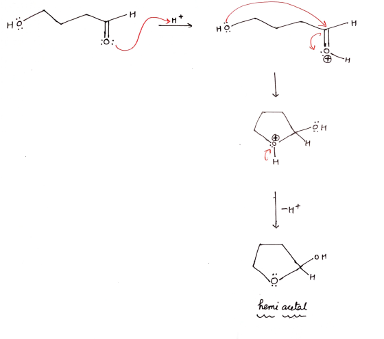 H. + Н но н :0: Н Но. :О: Н. :0; Oh Фо: Н Н | -- +H- он О: H hemi acetal