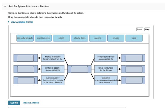 Part B - Spleen Structure and Function Complete the Concept Map to determine the structure and function of the spleen. Drag t