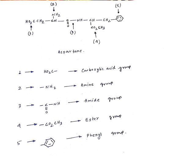 (2) (5) NH₂ HO₂ C CH ₂ -CH - NH CH -CH2 eO₂ CH₃ (3) (1) (4) Aspartame. arid L group اے H0 Carboxylic Amine -NH2 group 2 Amide