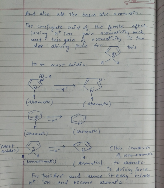 And also all the bases are aromatic- The conjugate and of the pyrolle after lossing ntion gain aromaticity back and this gain