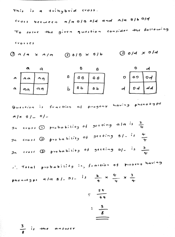 This is a trinybrid cross. cross between alaoiB old given question and Ala b/bold consider the following To solve the Crosses