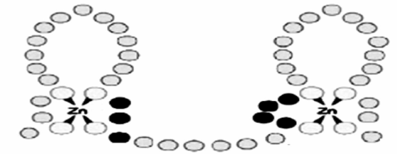 Зоооооо