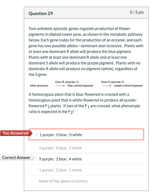 Question 29 0/2 pts Two unlinked, epistatic genes regulate production of flower pigments in diploid sweet peas, as shown in t