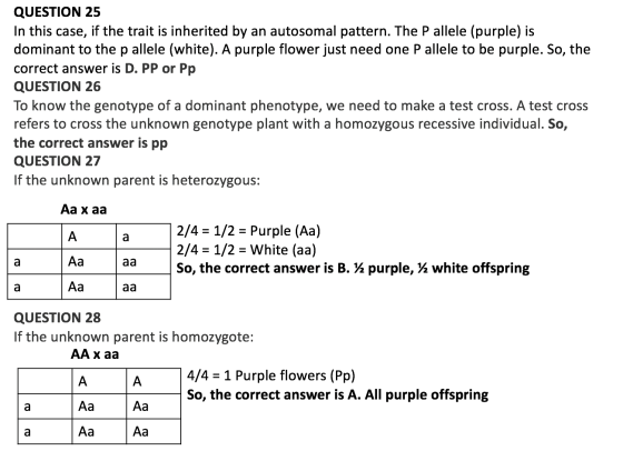 QUESTION 25 In this case, if the trait is inherited by an autosomal pattern. The P allele (purple) is dominant to the p allel