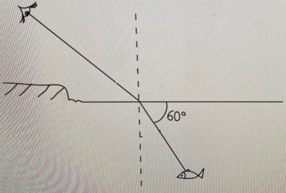 60° L
