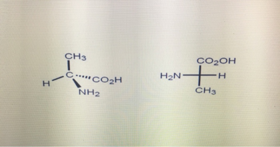 CH3 CO2OH C .CO2H H2N- H NH2 CH3