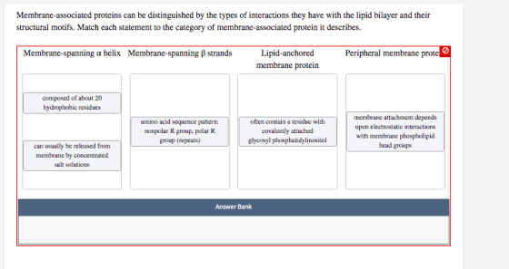 Membrane-associated proteins can be distinguished by the types of interactions they have with the lipid bilayer and their str