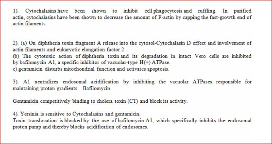 1). Cytochalasins have been shown to inhibit cell phagocytosis and ruffling. In purified actin, cytochalasins have been shown
