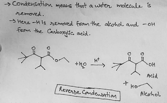 Condensation means that a water molecule is removed. Here -H is removed from the alcohol and -oh from the Carboxylic acid. +h