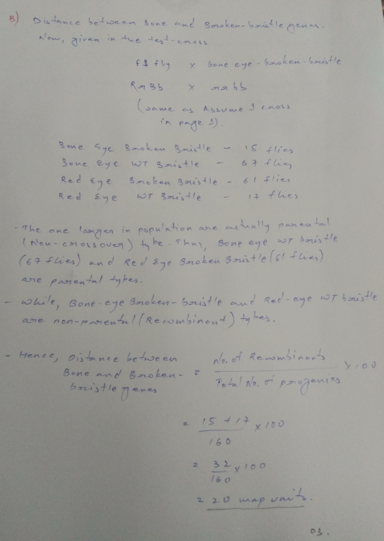 B) Distance between Bone and Borcken-bruntle gener. Now, given in the test corons f 1 fly x bone eye-broken-bristle Rabb & nu