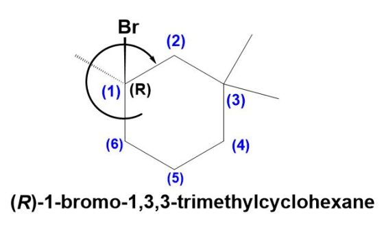 (1)|(R) (6) (5) (R)-1-bromo-1,3,3-trimethylcyclohexane