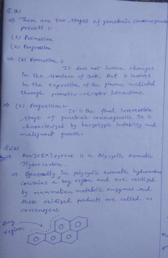 & There are two stages of genetoric careenogenesis process : (1) Promotion (2) Progression 2) (1) Promotion : It does not inv
