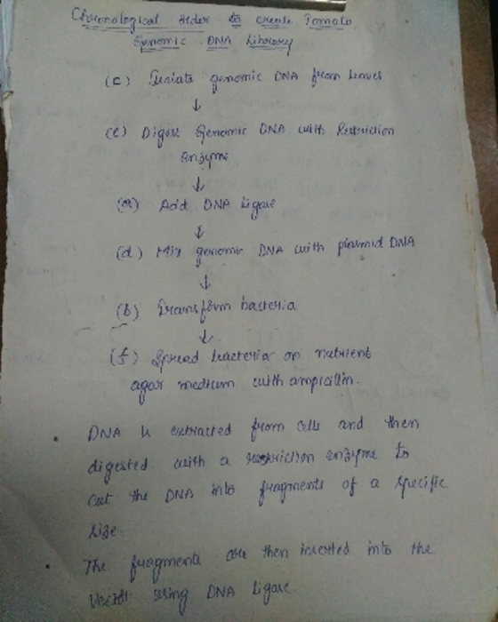 d, digaftd kige The husgment e then mb the