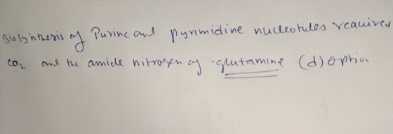 Biosynthesis of Purine and pyrimidine nucleotides reauired co and the amide nitrogen of glutamine ( d option