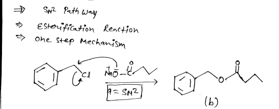 SN2 Path way EStoifiation Renction ohe Step Mechanism (b)