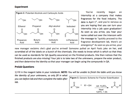 an OH OH OH OH ОН Experiment Figure 2. Potential Alcohols and Carboxylic Acids Youve recently begun internship at a company