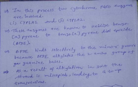 2 I > In this process two cytochrome 1450 enzymes are involved. (i) CYPLAL and (ii) CYPLAZ. These enzymes are known to oxidiz