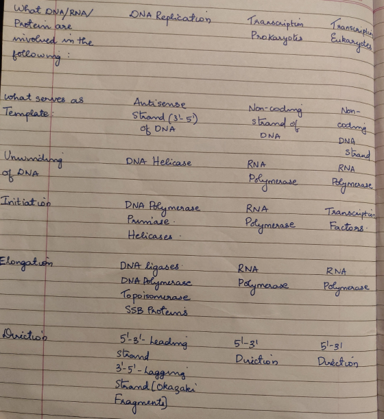 DNA Replication What DNA/RNA Protein are involved in the following Transcription Prokaryotes Transcripts Eukaryotes Non- what