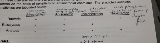 is down partenere a cyclo acteria on the basis of sensitivity to antimicrobial chemicals. The predicted antibiotic nsitivitie
