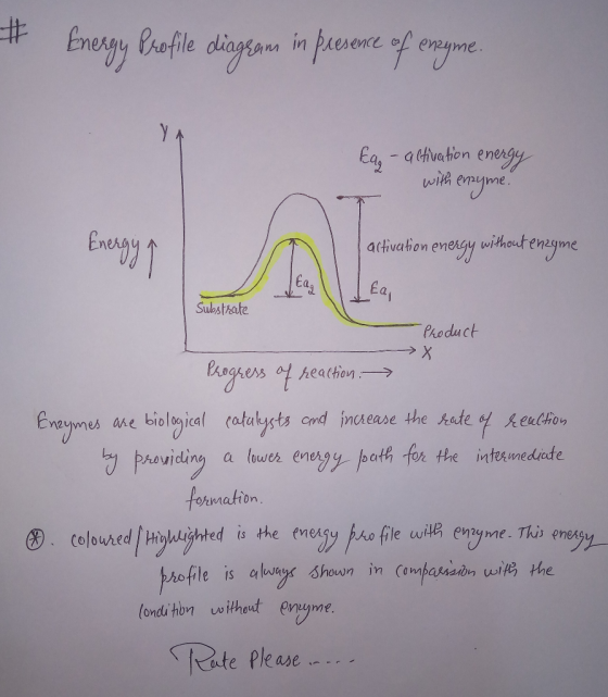 Energy Brofile diagsanm in pne f enyme Ea, - atfve hion energ4 wih emyme AN activation energy withoutenayme Substhate Phoduct
