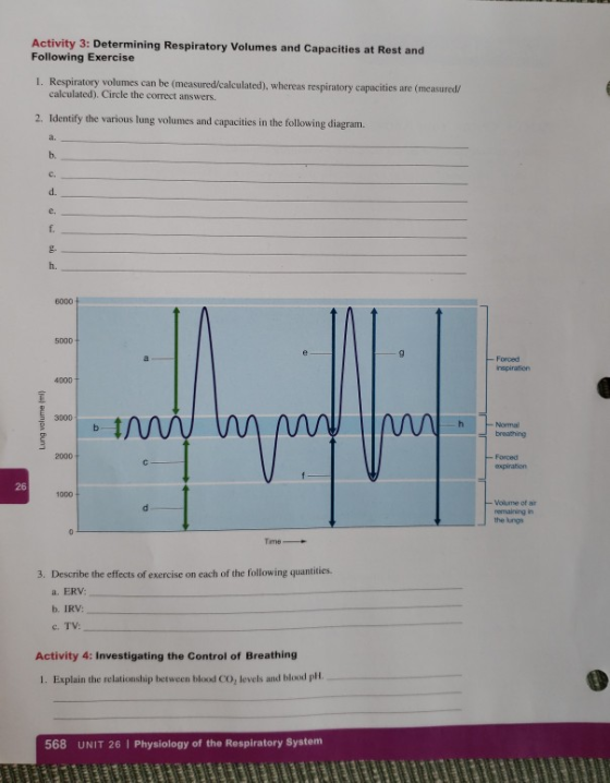 Activity 3: Determining Respiratory Volumes and Capacities at Rest and Following Exercise 1. Respiratory volumes can be measu