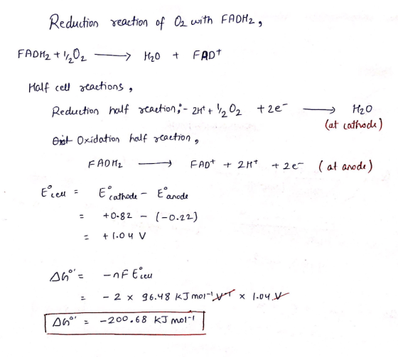 Reduction reaction of O2 with FADH2 , FADH2 + O2 -> H₂O + FADT Half cell reactions, Reduction half reaction; - 247 + 1/2O2 tr