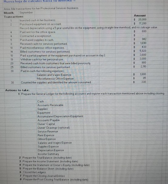 Mueva hoja de calculos hacia su derecha Anne Aile transactions for her Profesional Services business Month September Transact