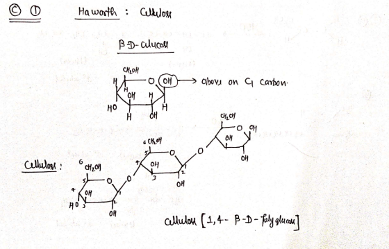 Haworth : Cellulose B D-alucoli CHOH O COM) → above on a carbon. 에 CH₂OH Looh OHV с се Cellulose : 40 cellulou (1,4- B - D -