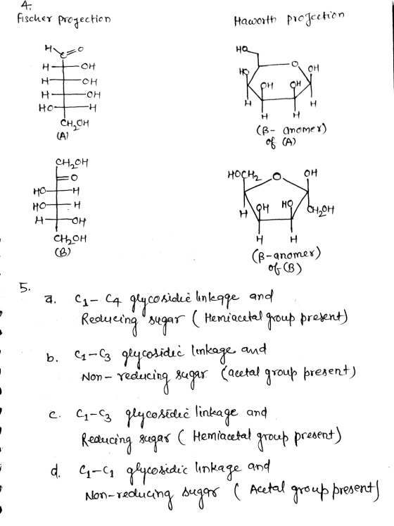Fischer projection Haworth projection HQ HEZO -OH Hton - OH KOH OHN -он Нощн CH, OH (A) (B- anomer) of (A) 왜애 HOCH2 O OH HGH