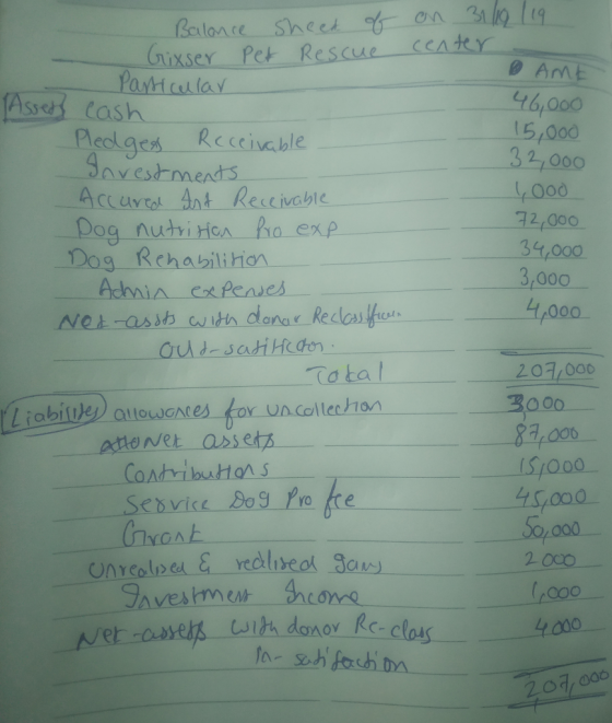 Balance sheet of Grixser Pet Rescue Particular on 31/19 119 center Assed cash 6 AME 46,000 15,000 32,000 4000 72,000 34,000 3