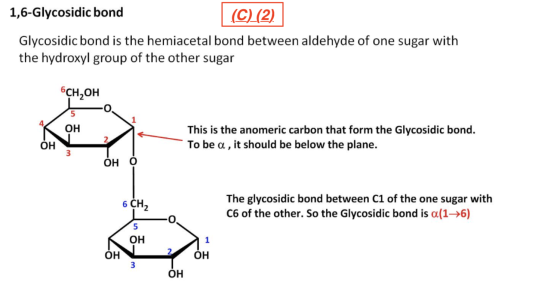 1,6-Glycosidic bond (C)(2) Glycosidic bond is the hemiacetal bond between aldehyde of one sugar with the hydroxyl group of th