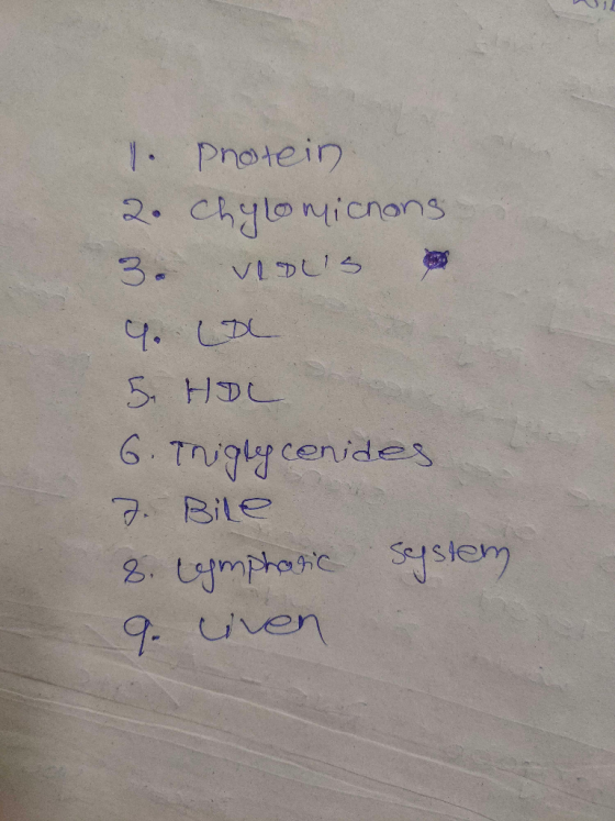 1. Protein 2. Chylomicnons 3. vious 9. LOL 5. HOL 6. Triglycenides J. Bile 8. Lymphatic system 9. iven