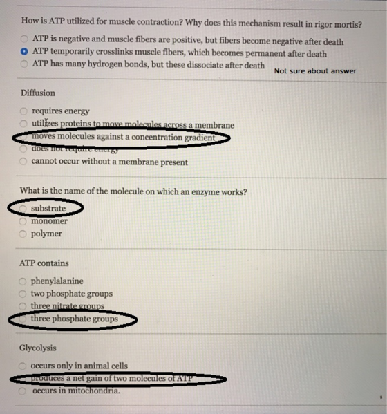 How is ATP utilized for muscle contraction? Why does this mechanism result in rigor mortis? ATP is negative and muscle fibers