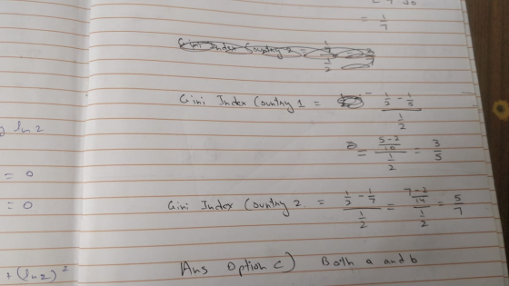 bandyp soubting sa Gini Index Counting a = 3 - 2 ulw - Gini Index Country 2. = Aus option c) Both a and be