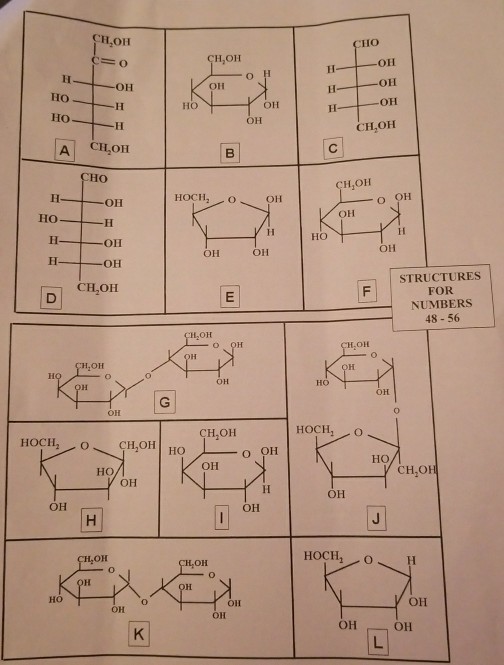 H,OH HO CH,OH OH OH of OH HO HO OH OH CH,OH CHO CH,OH HOCHo OH OH HO OH OH OH OH STRUCTURES FOR NUMBERS 48- 56 CH OH H,OH L.OH ,OH OH OH OH 0 CH,OH Ho OH CH,O OH OH OH OH OH OH OH OH OH