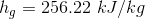 h_g=256.22\ kJ/kg