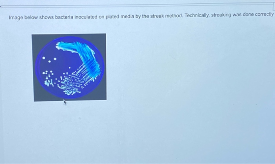 Image below shows bacteria inoculated on plated media by the streak method. Technically, streaking was done correctly