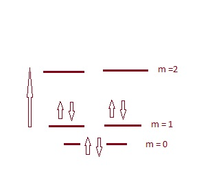 m 2 2 m=1 m=0