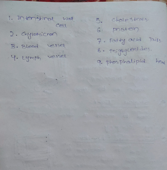 1. Intenstinal Wall Ceu 2. Chylonicon 3. Blood vessel 9. cymph vessel 5. cholestrols. 6 protein 7. Fatty acid Tails. 8. Trigl