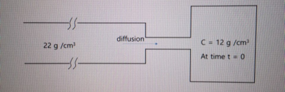 diffusion C 12 g /cm At time t 0 22 g /cm 、 ブ