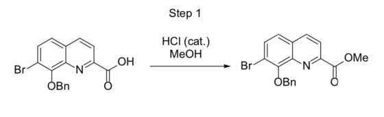 Step 1 HCI (cat.) MeOH Whome OMe OH Bry > Br? YN OBn dBn5 OBn